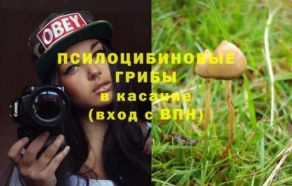 молекула духа Лихославль