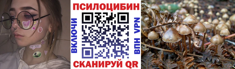 Галлюциногенные грибы прущие грибы  хочу   Цимлянск 